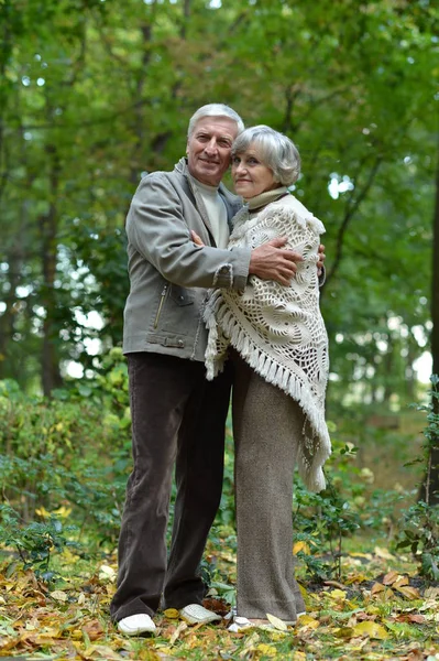 Šťastný Pár Senior Podzimním Parku Objímání — Stock fotografie