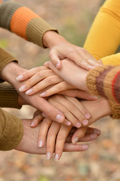 Hands Held Together Natural Background — Stock Photo, Image