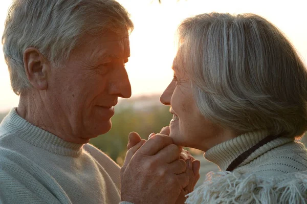 Gelukkig Bejaarde Echtpaar Prachtige Zonsondergang — Stockfoto
