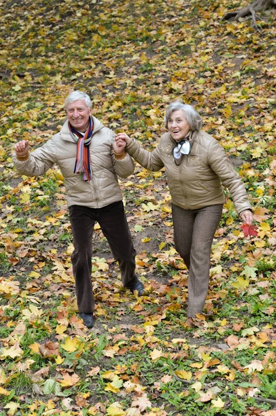 Portrait Beautiful Caucasian Senior Couple Walking Park — Stock Photo, Image