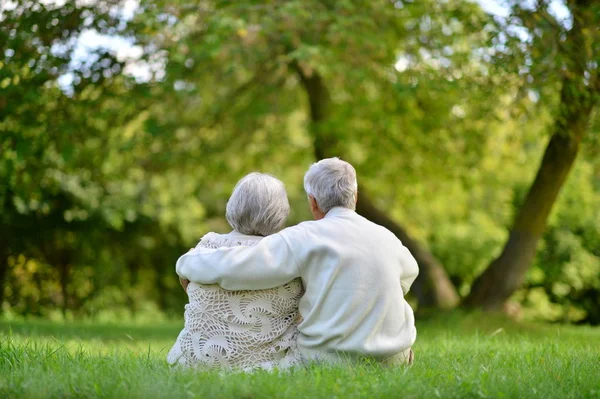 Felice Coppia Anziana Seduta Nel Parco Vista Posteriore — Foto Stock