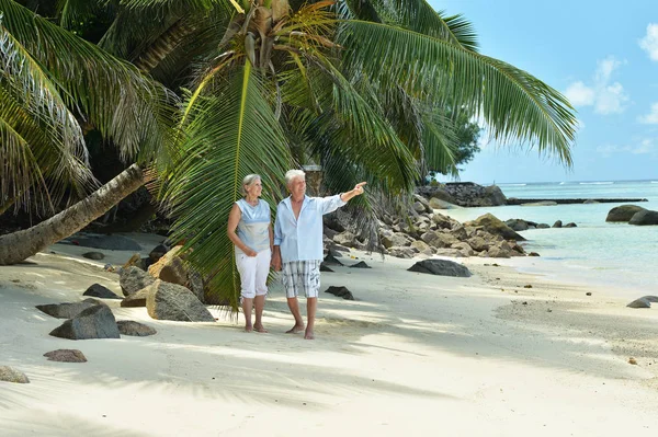 Ευτυχισμένο Ζευγάρι Ηλικιωμένων Αναπαύεται Στην Παραλία Άνθρωπος Που Δείχνουν Κάτι — Φωτογραφία Αρχείου