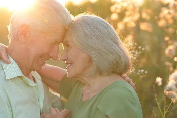 Beautiful Senior Couple Posing Outdoors — Stock Photo, Image