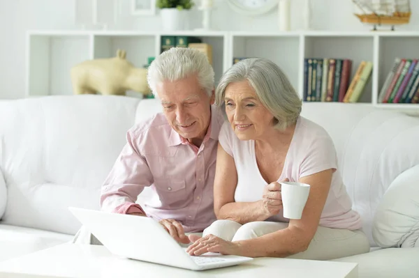 Feliz Casal Sênior Usando Laptop Casa — Fotografia de Stock