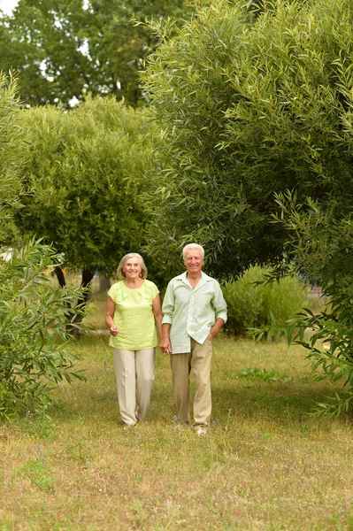 Feliz Pareja Ancianos Caminando Parque Aire Libre —  Fotos de Stock