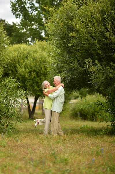 Feliz Pareja Ancianos Abrazándose Parque Aire Libre — Foto de Stock