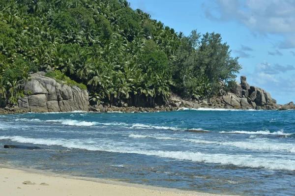 Hermosa Playa Tropical Con Palmeras Durante Verano — Foto de Stock