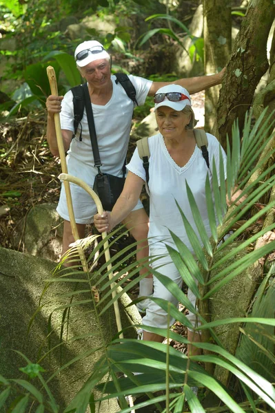熱帯林の幸せな老夫婦 — ストック写真