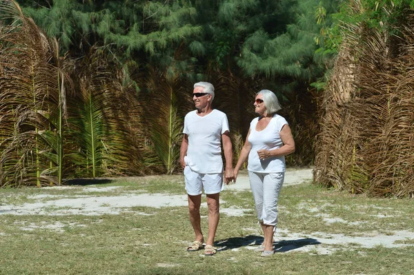 Happy Elderly Couple Tropical Forest — Stock Photo, Image