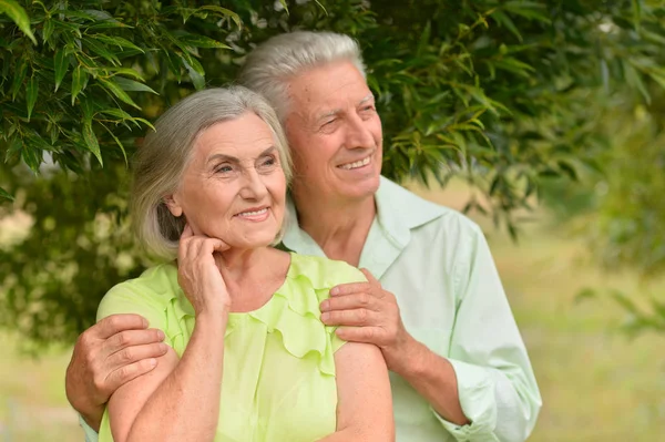 Feliz Pareja Ancianos Parque Aire Libre —  Fotos de Stock