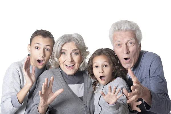 Porträt Glücklicher Großeltern Mit Kindern Auf Weißem Hintergrund — Stockfoto