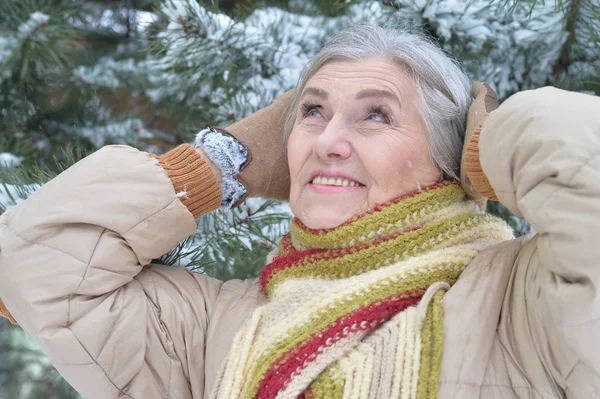 Feliz Hermosa Mujer Mayor Posando Parque Invierno Nevado —  Fotos de Stock