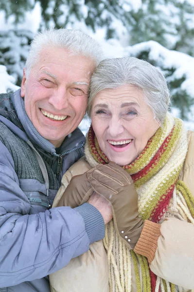 Feliz Pareja Ancianos Abrazándose Nevado Parque Invierno — Foto de Stock