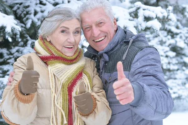 快乐的老夫妇 大拇指在雪地的冬季公园 — 图库照片