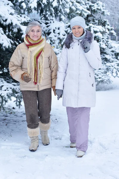 Glückliche Schöne Seniorin Mit Tochter Schaut Die Ferne Verschneiten Winterpark — Stockfoto