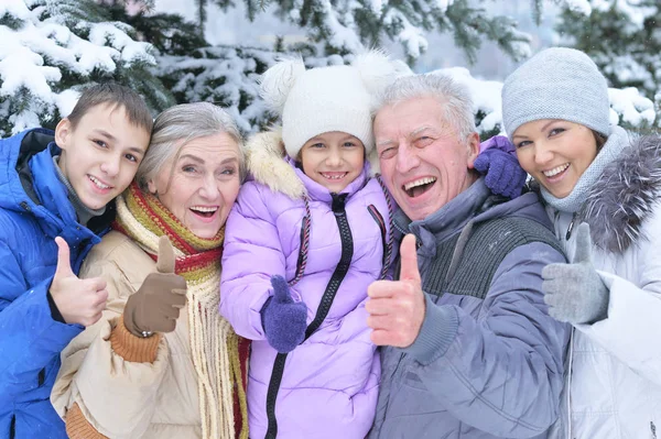 Karda Mutlu Bir Aile Kış Ormanı Başparmaklarla Kaplandı — Stok fotoğraf