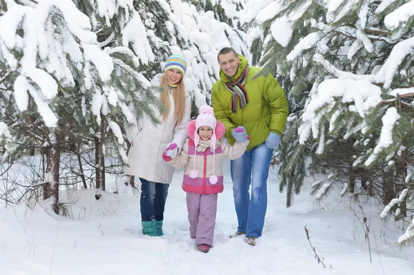 Famille Heureuse Belle Journée Ensoleillée Hiver Plein Air Dans Nature — Photo