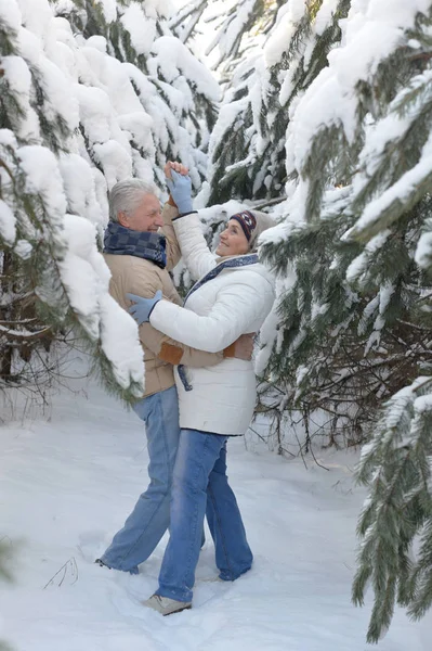 Gelukkig Senior Paar Dansen Snowy Winter Park — Stockfoto