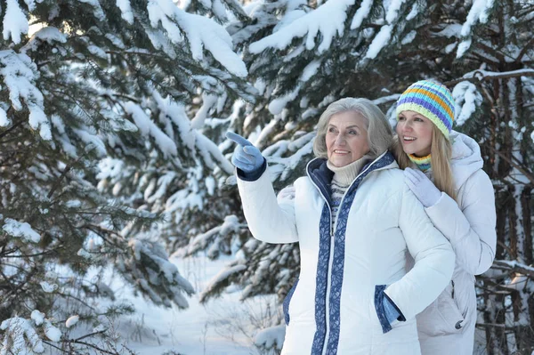 Glad Vacker Senior Kvinna Med Dotter Tittar Avstånd Snöig Vinterpark — Stockfoto