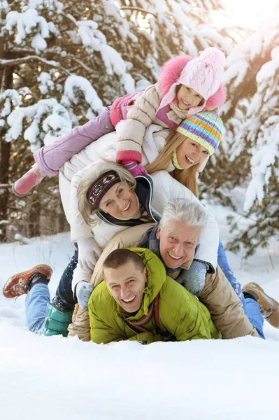 Grande Família Feliz Divertindo Parque Inverno Coberto Neve — Fotografia de Stock