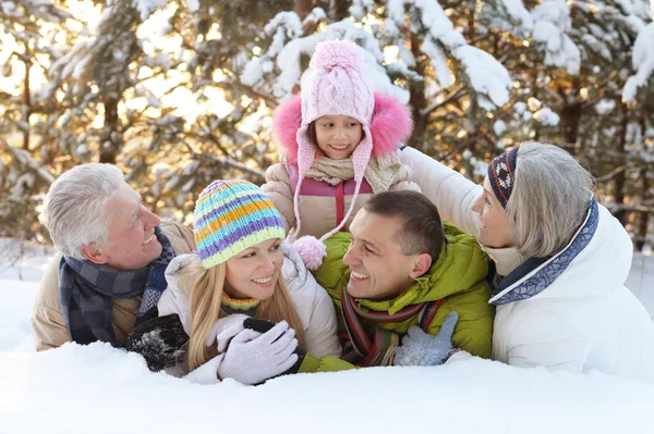 在白雪覆盖的冬季公园开心的快乐的大家庭 — 图库照片