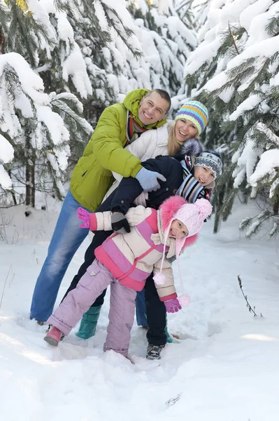 Stor Lycklig Familj Kul Vinterparken Täckt Med Snö — Stockfoto