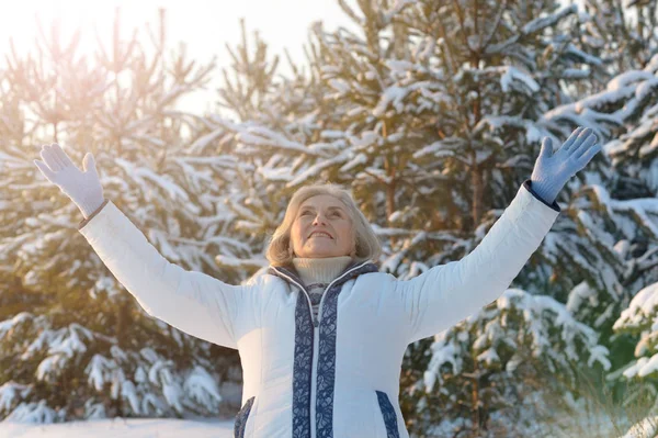 Feliz Bela Mulher Sênior Posando Parque Inverno Nevado — Fotografia de Stock