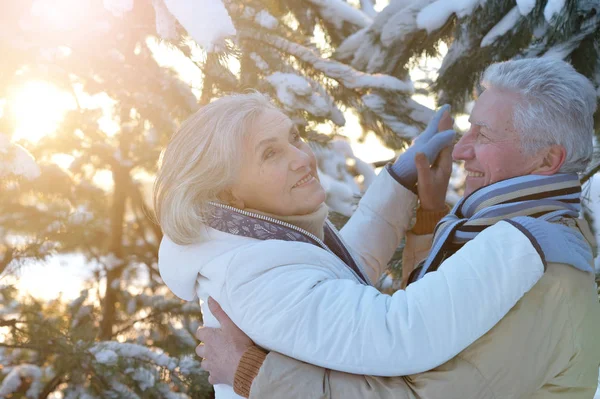 快乐的老夫妇在雪地的冬日公园跳舞 — 图库照片