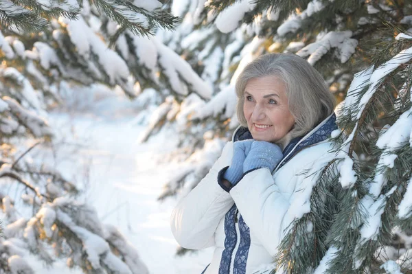 Glückliche Schöne Seniorin Posiert Verschneiten Winterpark — Stockfoto