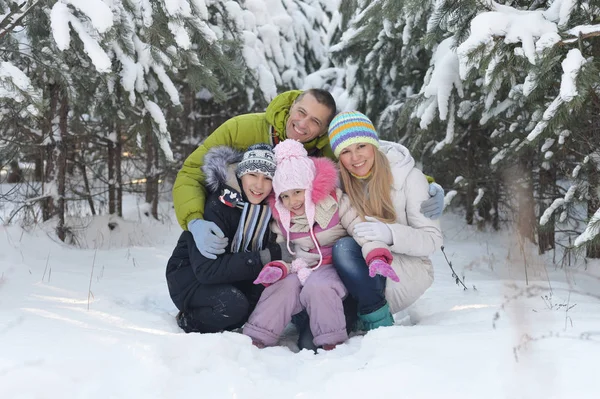 Große Glückliche Familie Die Spaß Schneebedeckten Winterpark Hat — Stockfoto