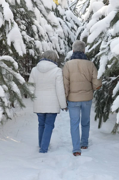 Glada Äldre Par Snöig Vinterpark — Stockfoto