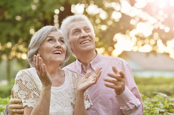 Smiling Senior Couple Smiling Park — Stock Photo, Image