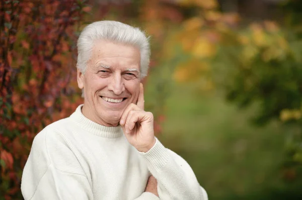 Portret Van Gelukkig Senior Man Park — Stockfoto