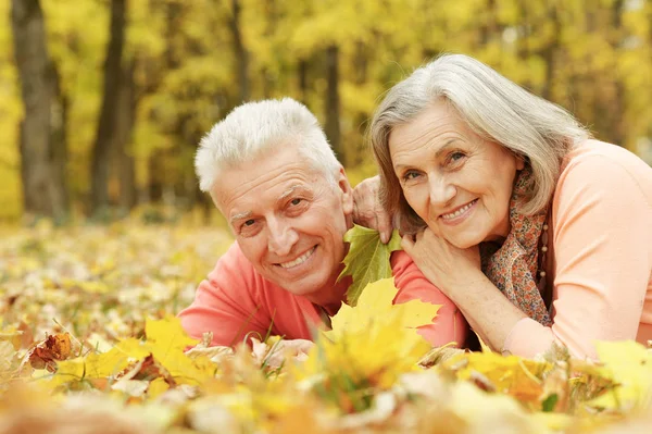 快乐的老夫妇在秋天的树叶上摆姿势 — 图库照片