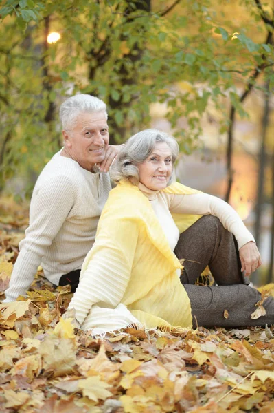 Glückliches Seniorenpaar Sitzt Auf Herbstblättern — Stockfoto