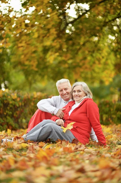 秋の葉の上に座って幸せな先輩夫婦 — ストック写真