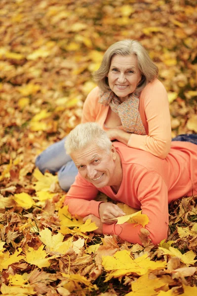 快乐的老夫妇在秋天的树叶上摆姿势 — 图库照片
