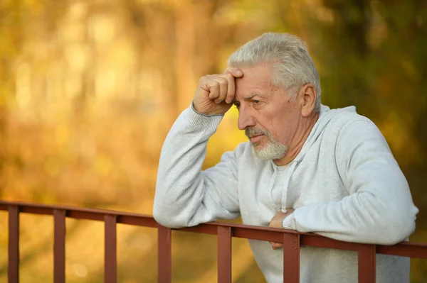 Portrait Thinking Senior Man Park — Stock Photo, Image