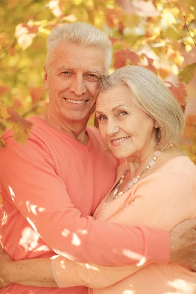 Retrato Belo Casal Sênior Abraçando Parque — Fotografia de Stock