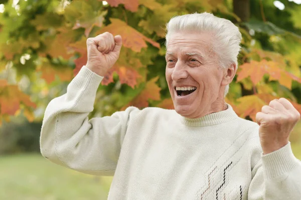 Portret Van Vrolijke Lachende Senior Man Park — Stockfoto