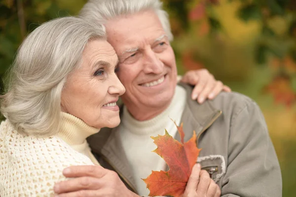 Portrét Krásného Seniorského Páru Parku — Stock fotografie