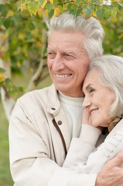 美丽的老年夫妇拥抱在公园里 — 图库照片