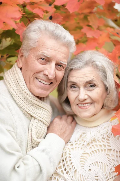 Sorridente Coppia Anziani Posa Nel Parco — Foto Stock
