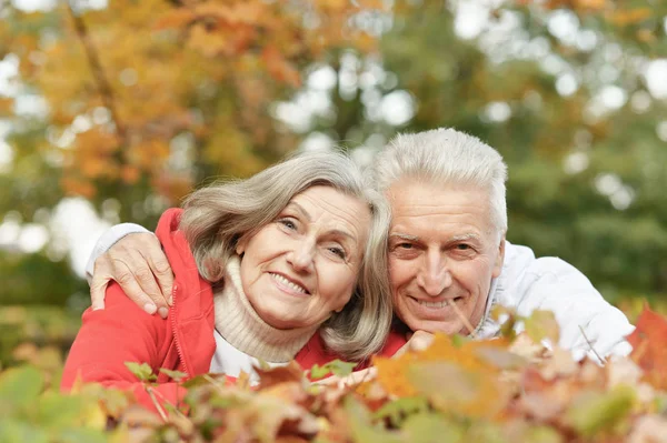 Glückliches Seniorenpaar Liegt Auf Herbstlaub — Stockfoto