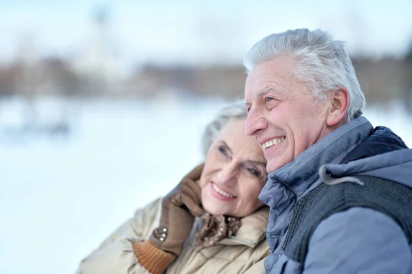 Szczęśliwa Para Seniorów Przytulających Się Śnieżnym Zimowym Parku — Zdjęcie stockowe