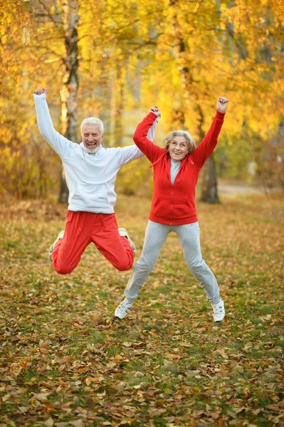 Forma Pareja Ancianos Haciendo Ejercicio Parque Otoño —  Fotos de Stock