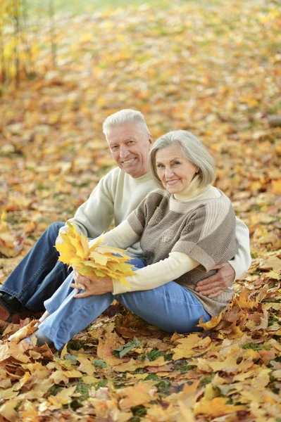 Retrato Belo Casal Sênior Sentado Grama Com Folhas — Fotografia de Stock