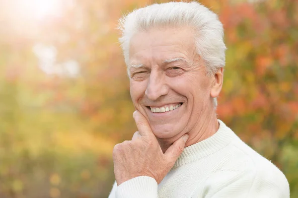 微笑的老人在公园里的肖像 — 图库照片