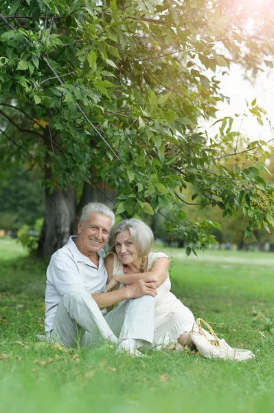 Portrait Beau Couple Personnes Âgées Assis Sur Herbe — Photo