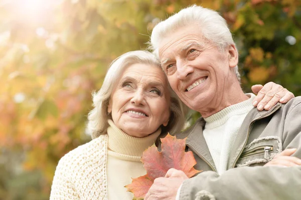 Porträt Eines Schönen Seniorenpaares Das Park Lächelt — Stockfoto